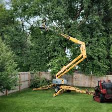 Best Grass Overseeding  in Westminster, CA