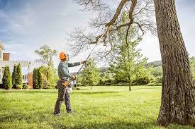 Lawn Maintenance Plans in Westminster, CA